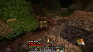 Lets play Hikaro Jungle #14 Iron for days