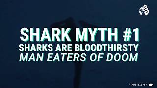 Shark Myths vs. Shark Facts | Ocean Wise