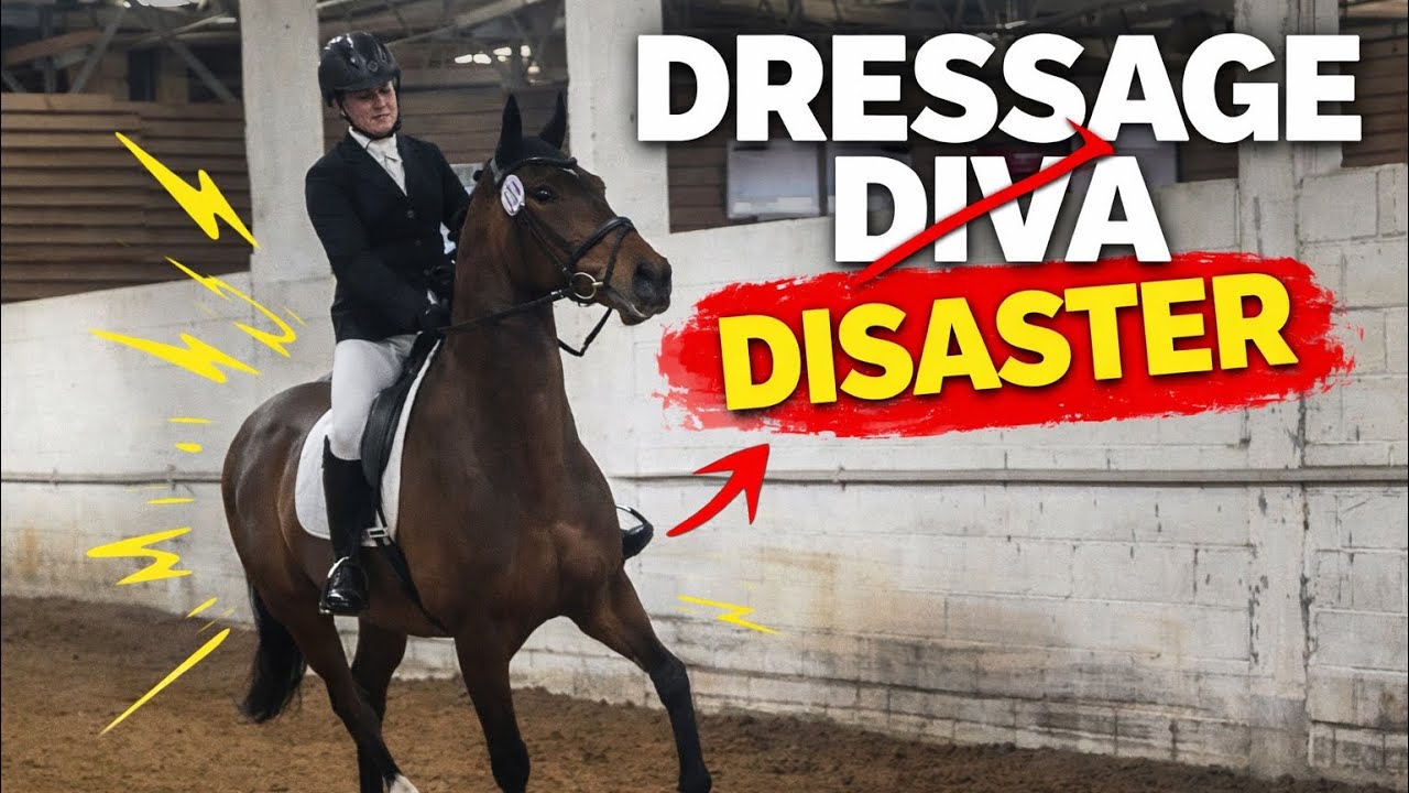 Дива выездки? ​​Катастрофа на зимних квалификационных соревнованиях.