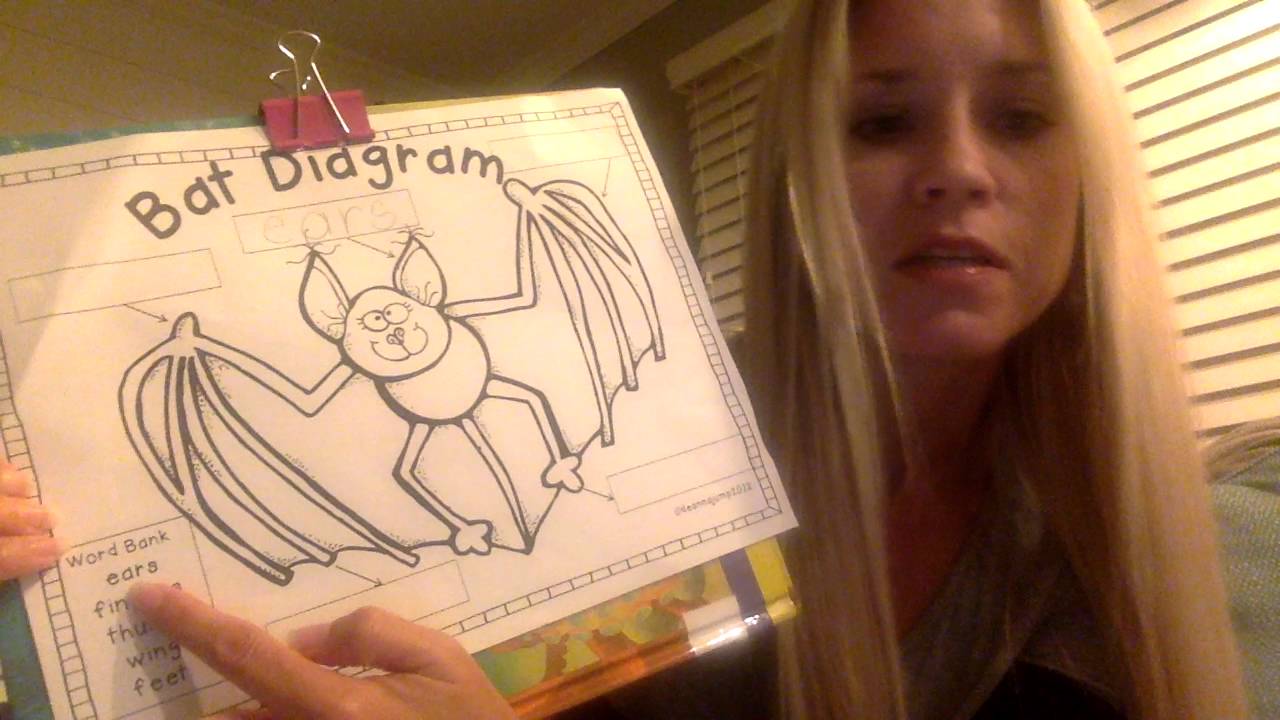 bat-labeling-worksheet-youtube