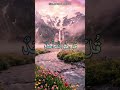 سُورَةُ الإِخْلَاص | تِلاوَةٌ هَادِئَةٌ تَأْسِرُ القَلْب 🤍 | Surah Al-Ikhlas