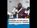 SHEREHE ZA WALOKOLE MWISHO SAA 12 SHEREHE ZA WALOKOLE MWISHO SAA 12