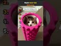 Ranking Cats #cats #cat #catshorts #catsofyoutube #youtubeshort #shorts #rankingshorts #funny