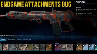 Solve MXR-17 CINDER CAMO 8 Attachments  BUG In ENDGAME - COD BO7