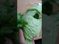 Gulay #youtubeshorts #vegetables