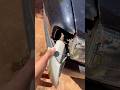 O pisca do Goleta nunca mais vai cair#golg2 #carros #gol