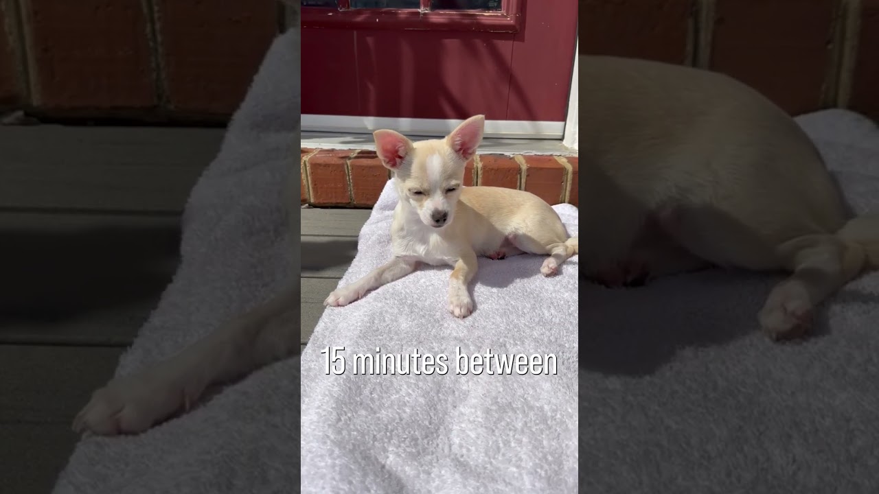 Ditch the Sunscreen for Vitamin D?