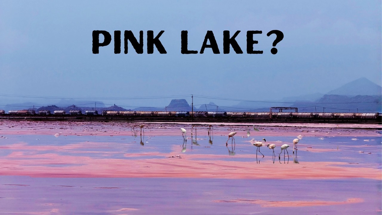 A Pink Lake in Kenya? 🇰🇪 Lake Magadi & Nguruman Adventure