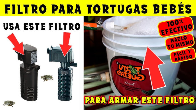 FILTRO PARA TORTUGAS CASERO 🐢❤️ COMO TENER AGUA CRISTALINA │ FILTRO DE  CUBETA 