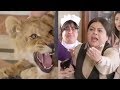 هتموت من الضحك على العميدة نور لما شافت اسد فى البيت هتموت من الضحك على العميدة نور لما شافت اسد فى البيت