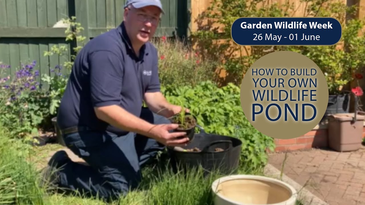 Garden Wildlife Week – How to Build Your Own Wildlife Pond