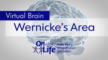 On With Life Virtual Brain - Wernicke