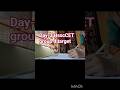 🤱my day-3 📚HsscCET mains+group d with house chores 😊#hssc #education #ytshorts#minivlog #maths#hcet