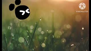 Storybots Screaming Add Round 2