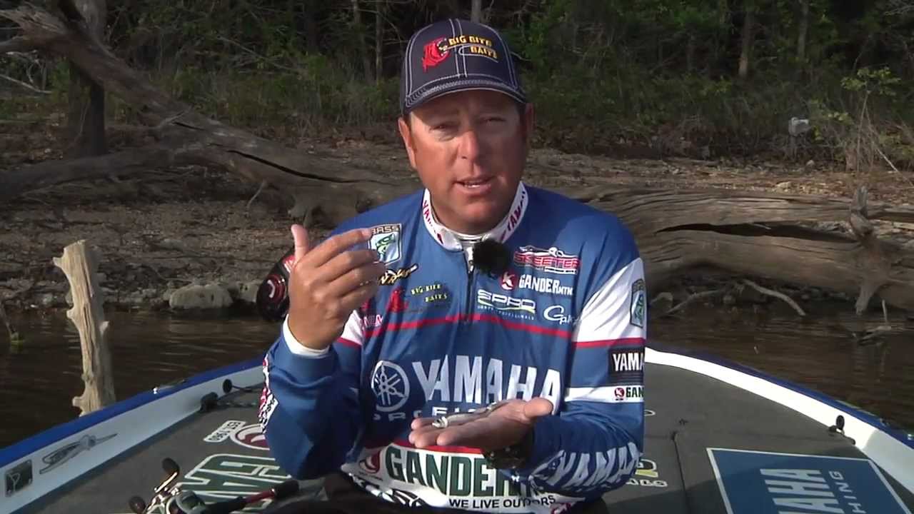 A Sneak Peek Look At What's New From Big Bite & Sunline – Tackle Warehouse VLOG #196