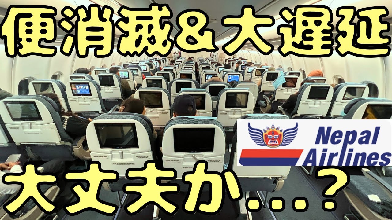 【東京🇯🇵にも就航】これは...国営のネパール航空を利用してみたら...