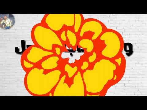 رضا البحراوي حاله واتس من مسلسل هوجان