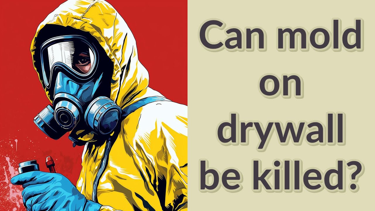 Can mold on drywall be killed? YouTube