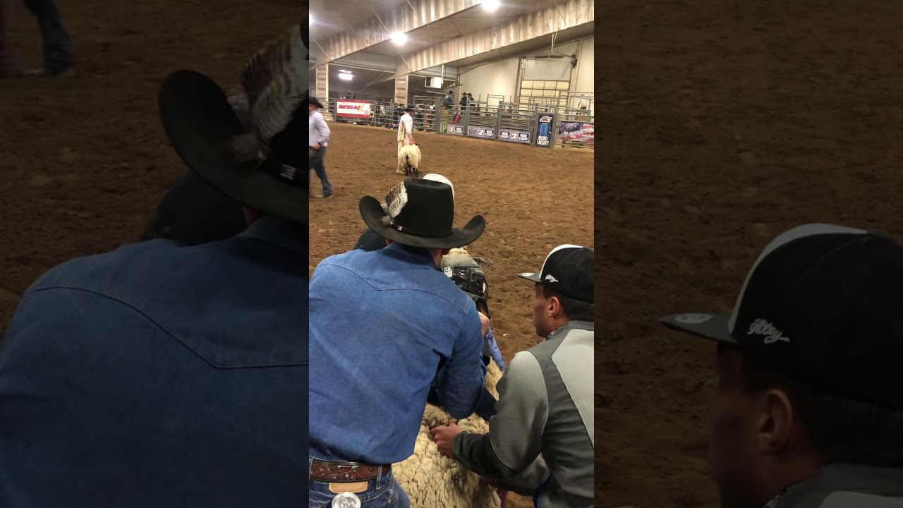 Emersyn riding sheep part two