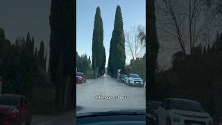 O senhor italiano encantou com meu Tesla e eu dei uma aula #amizade #vecchio #tesla #italia #carro