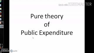 Pure Theory of Public Expenditure