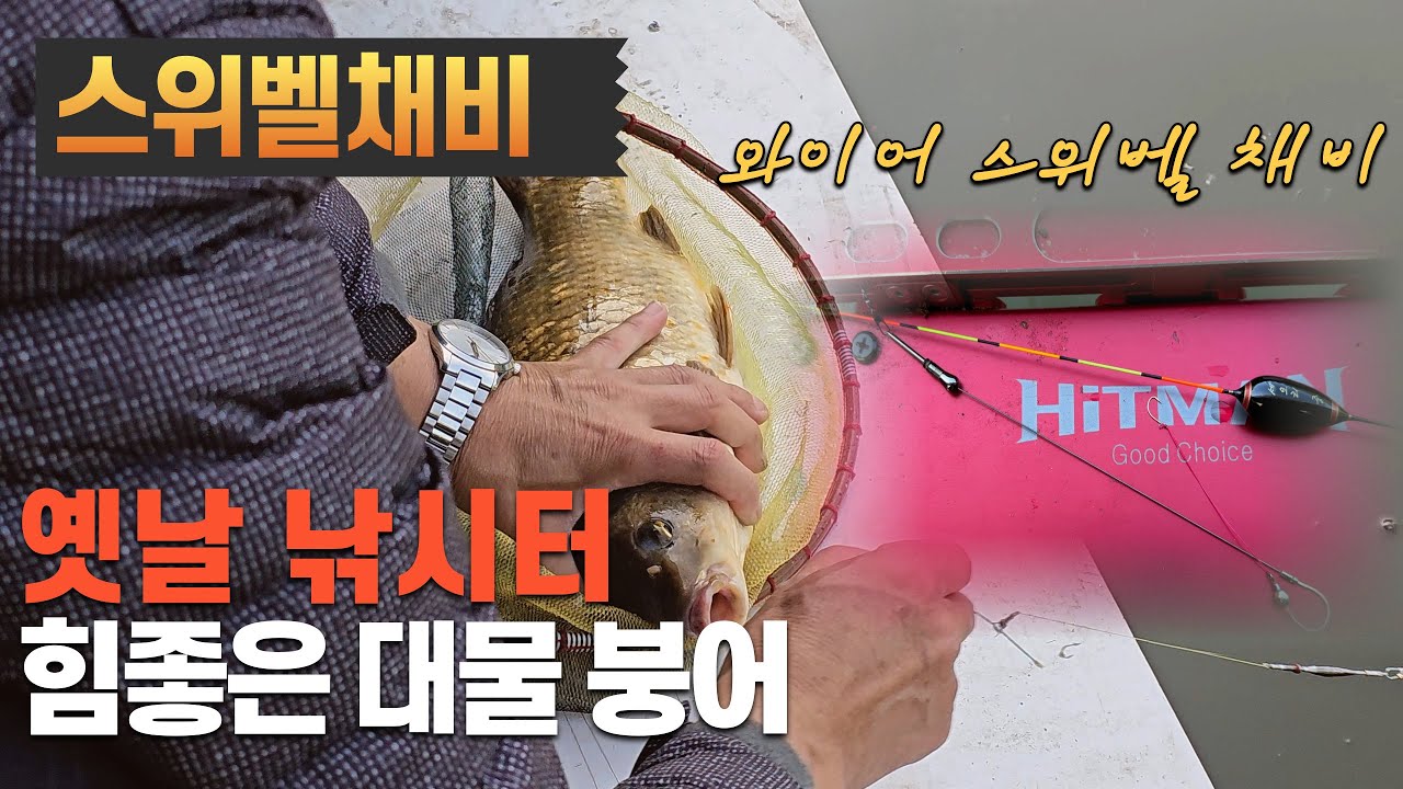 풍경좋은 옛날 낚시터, 힘좋은 대물 붕어, 와이어 스위벨채비-충북 옥천 방아실낚시터(2024.05.16) #즐낚tv #방아실낚시터 #와이어스위벨채비 #옥천