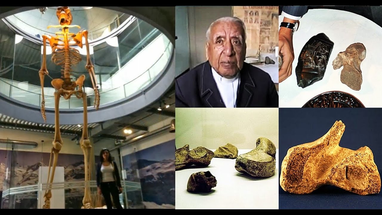 Ecuador Giants Shown To The World Bones and Full Skeletons of