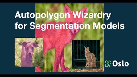 AutoPolygon with SAM2: AI-Powered Image Segmentation Made Effortless