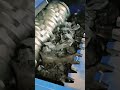 How Industrial Shredders Recycle Waste: The Science of Shredding