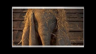 ∞‘Dumbo’ Teaser Trailer Gives First Look at Tim Burton’s Live-Action Remake With Colin Farrell