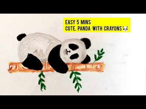 Crayon avec Gomme PANDA