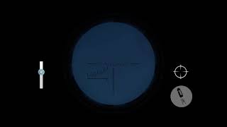 チキンガンの空中スナイプ screenshot 3