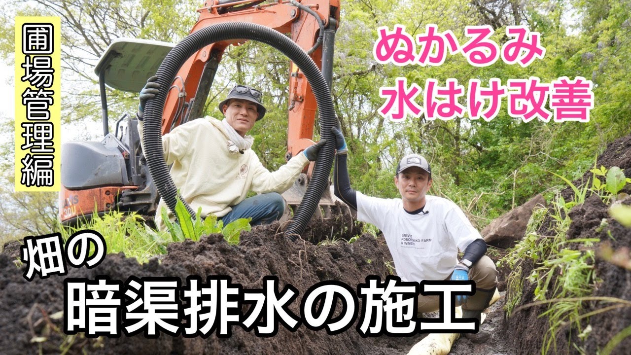 【圃場管理編】水捌け改善の為に、暗渠排水を施工。溝を掘って、透水シートに巻いたパイプを設置作業で水捌改善！