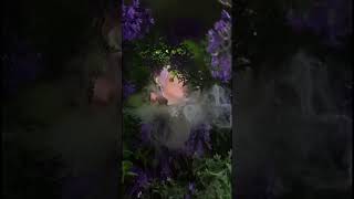 Asmr Into The Garden Mouth Sound