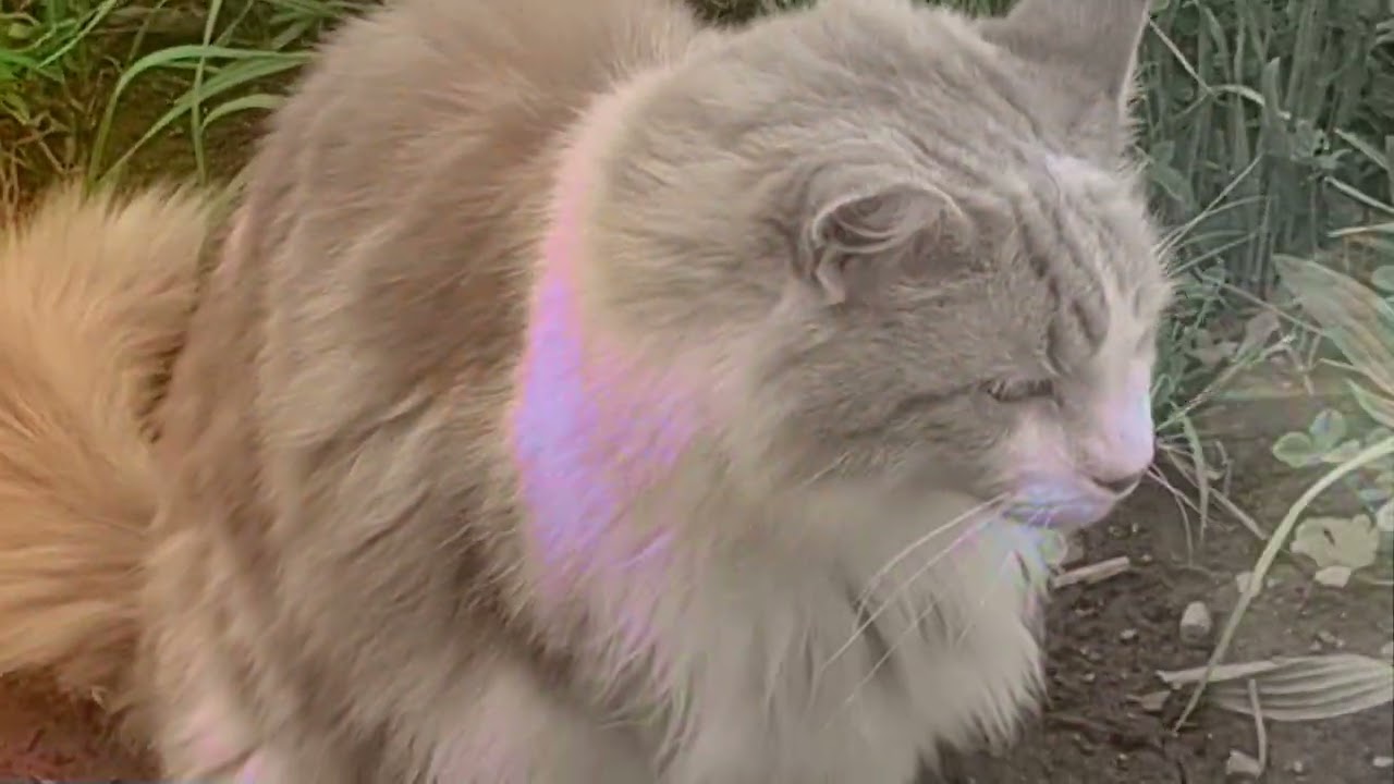 10 Ajmac | I AM AT THE CONFLUENCE