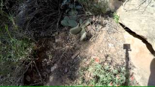Zion National Park Canyon Overlook Trail In 4K part 2