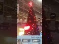New Years Day 1st January 2026 part 15