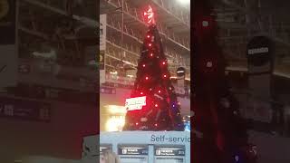 New Years Day 1st January 2026 part 15
