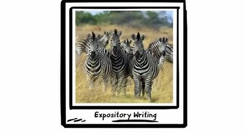 Expository Writing (Primary)