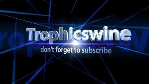 cool intro - Created using Flixpress.com