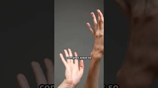 AI Image Generator Hands Myth Explained Simply