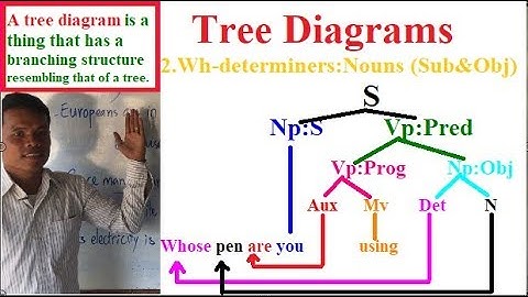 Learning English Grammars: Tree Diagrams (Part 3)