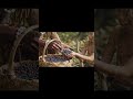8,000 Years Ago: How Neolithic Women & Children Gathered Food to Survive | Stone Age Life