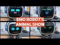 EMO Robot&#39;s Cute Animal Show!!!🐶🐱