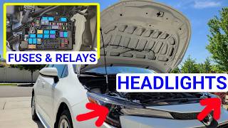 2019 – 2026 Toyota Corolla – Headlights Fuses & Relays Locations @ToddsGarage