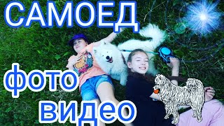 САМОЕД ФОТО И ВЕДЕО С Хати ❤ #ирахолмогорова #хатисамоед