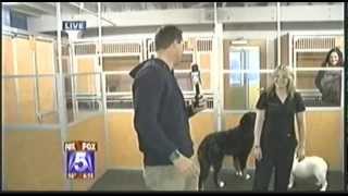DR BOYDS PET RESORT 2 KSWB