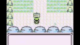 Pokémon Blue - Part 5