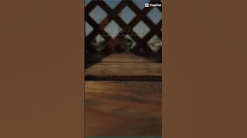 القران الكريم