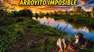 🔥SI PESCAMOS, COMEMOS | ARROYITO CRECIDO y LLENO de BARRO 🎣